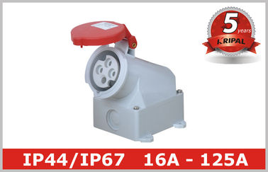 Wyloty Adapter Biała 3 Faza przemysłowe elektryczne 380V - 4150V